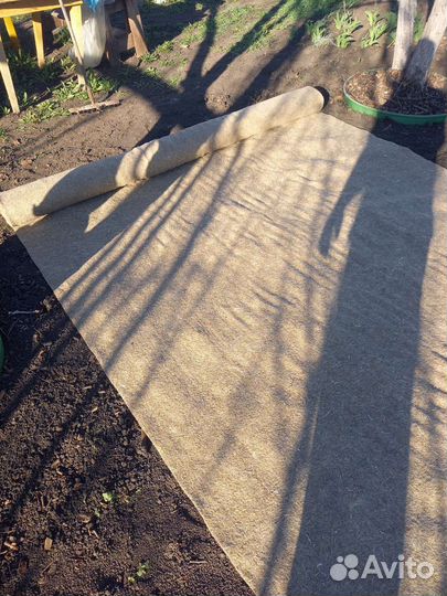 Рулонный газон Биомат