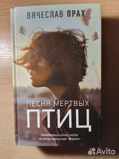 Вячеслав Прах, Гравити Фолз, Александр Полярный