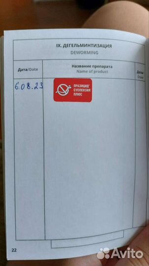 Йоркширский терьер