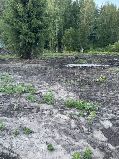 Участок 12 сот. (СНТ, ДНП)