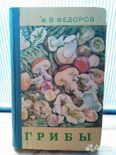 Книга Грибы