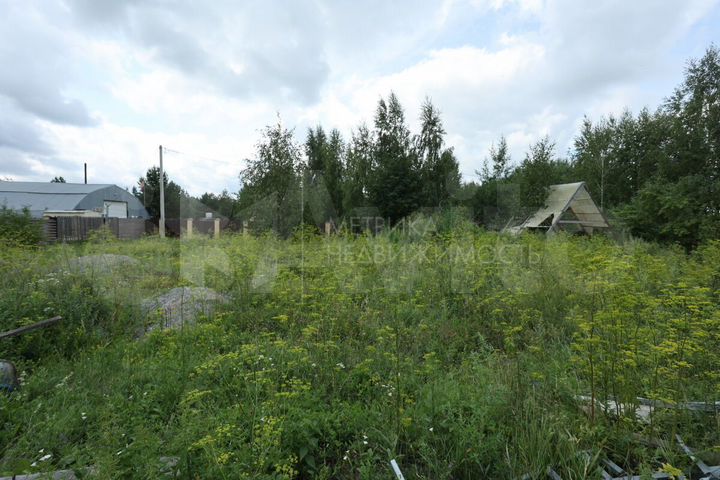 Участок 12,5 сот. (СНТ, ДНП)