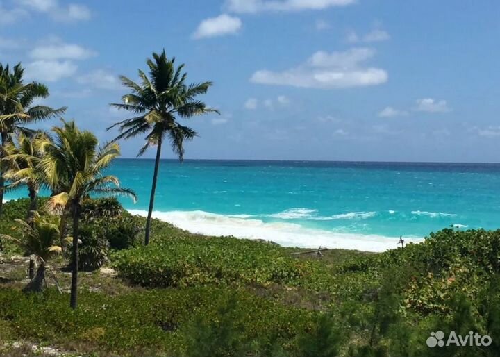 Voyage на о. Кубу 12 нч