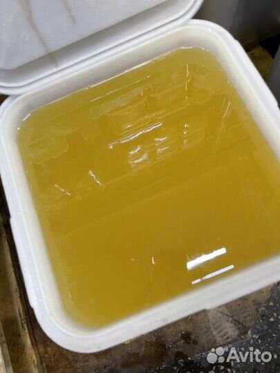 Свежий донниковый мёд. Качка 2023 Оптом