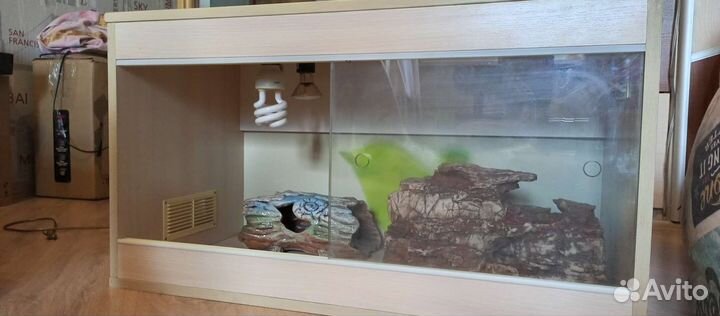 Террариум для рептилий