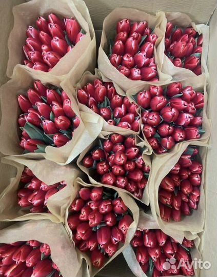 Тюльпаны к 8 марта оптом