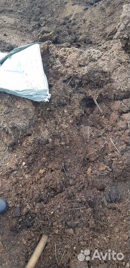 Конский перегной