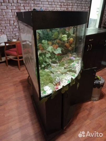 Аквариум с тумбой 200л
