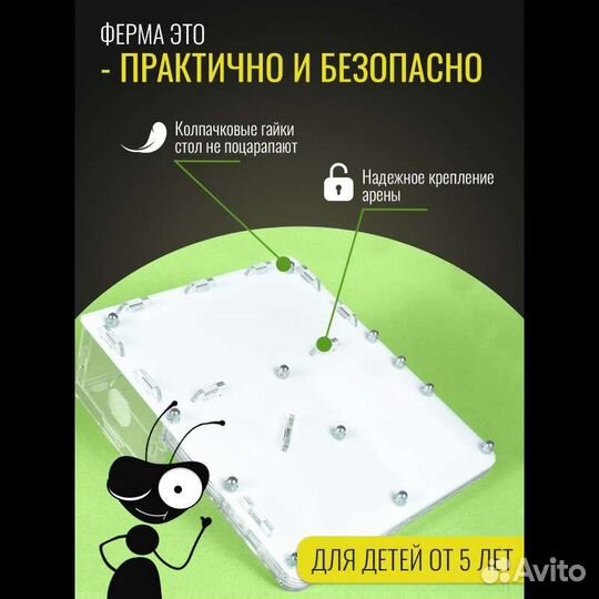 Муравьиная ферма Стандарт. В наличии, с муравьями