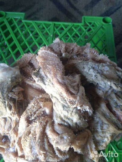 Мясо для собак