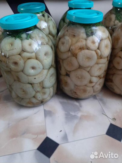 Продам грибы грузди