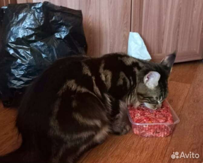 Куно-каша. Мясной микс. Фарш для животных, кошек