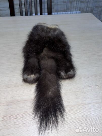 Шкура соболя