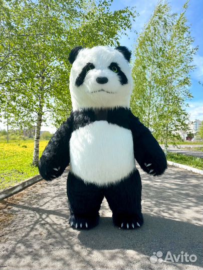 Надувной костюм панда, аэрокостюм Панда 2,8м
