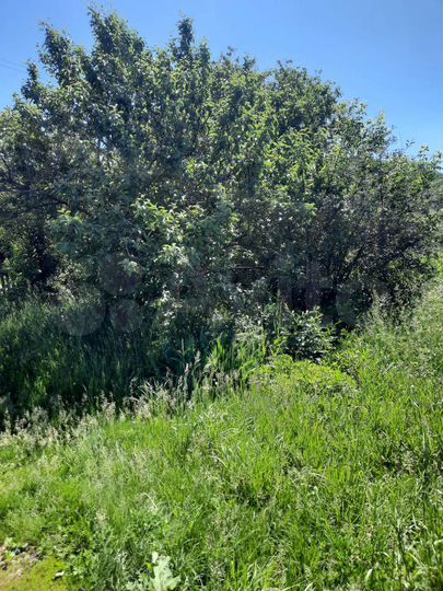 Дом 40 м² на участке 18 сот.