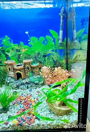 Аквариум