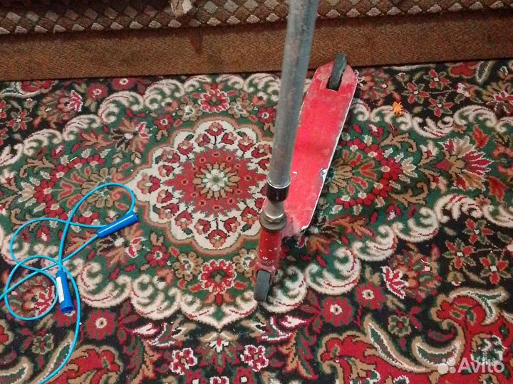 Самокат капибара