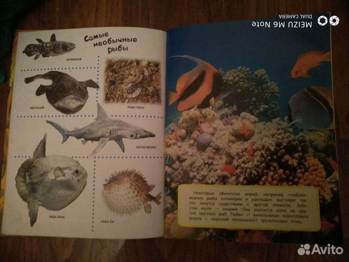 Новые Книги