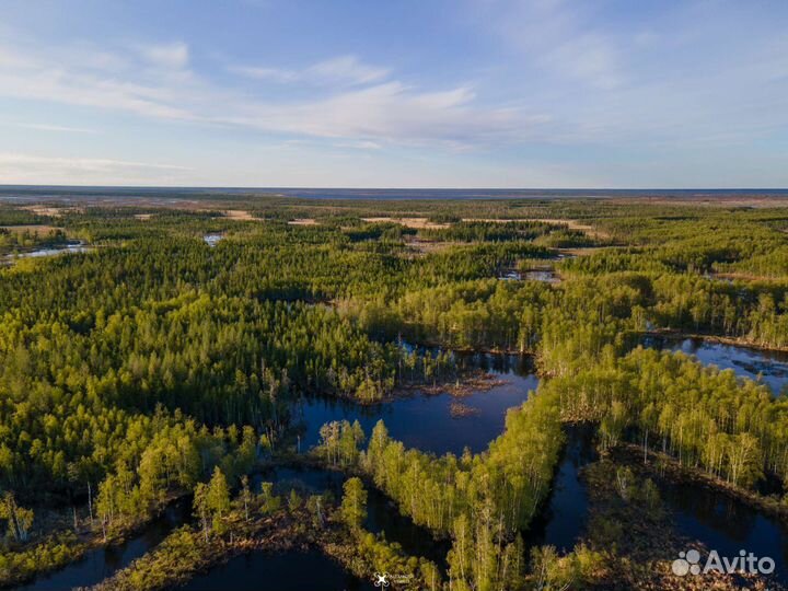 Аэросъемка