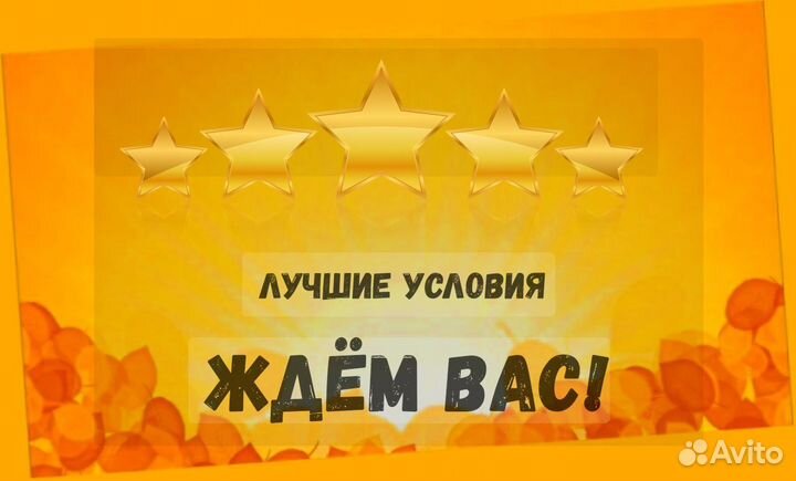 Кассир без опыта Хорошие условия М/Ж