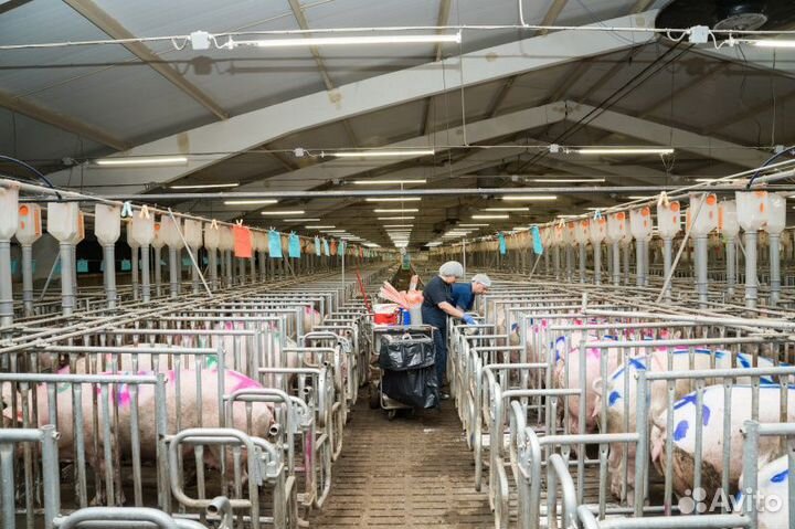 Разнорабочие с проживанием вахта г.Орел