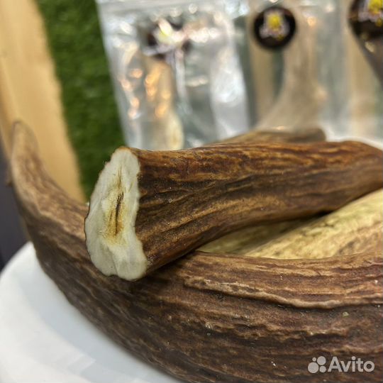 Лакомство для собак рога