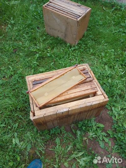 Рамки для ульев