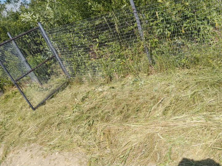 Дом 28 м² на участке 6 сот.