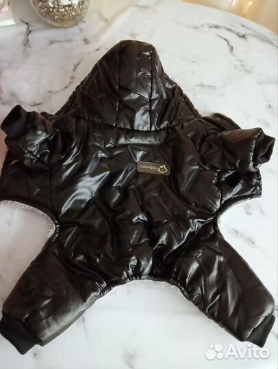 Одежда для собаки