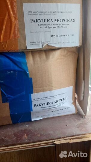 Ракушка морская кормовая