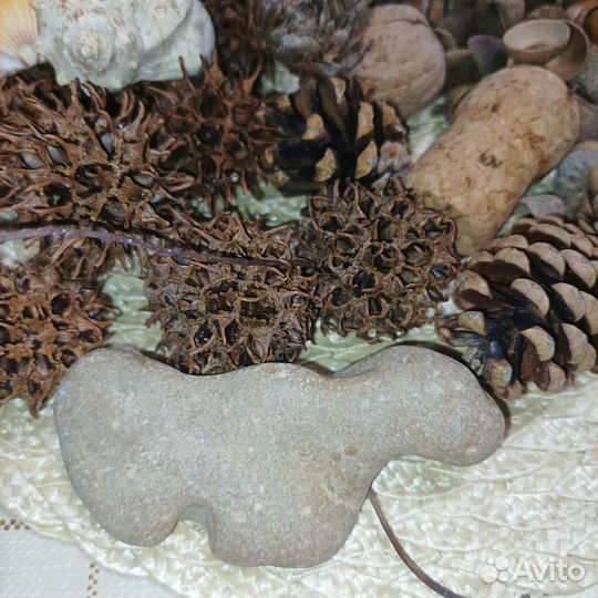 Поделки из природного материала