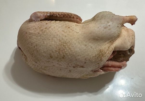 Утка домашняя мясо