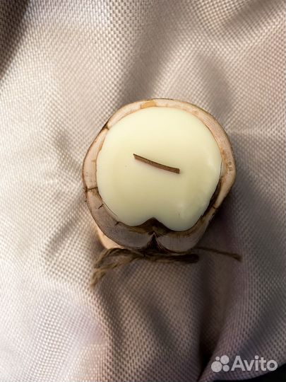 Свеча в дереве