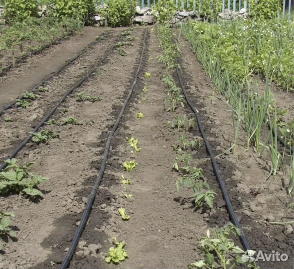 Капельная лента