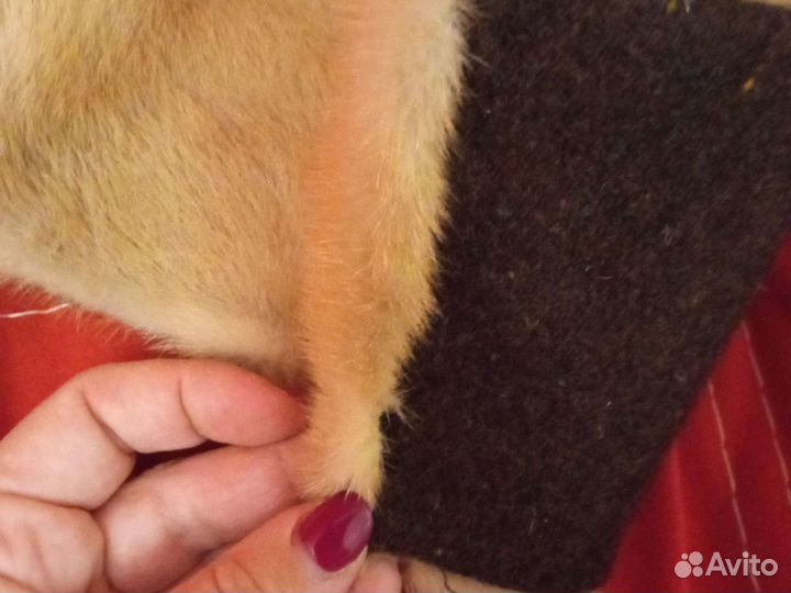 Меховой воротник