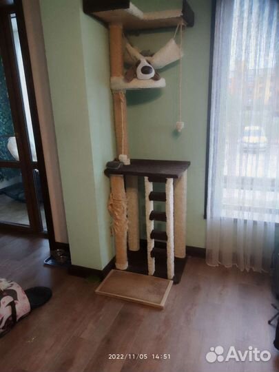 Домик для кота кошки