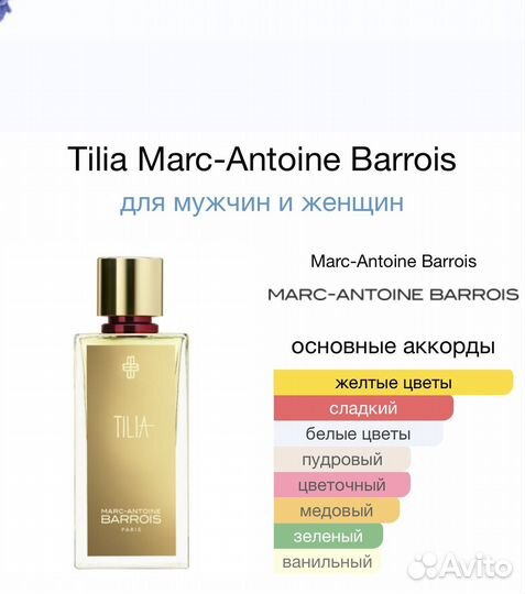 Tilia Marc-Antoine Barrois