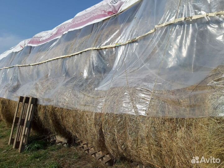 Сено в рулонах