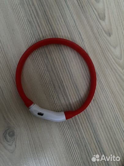 Ошейник светящийся для небольшой собаки