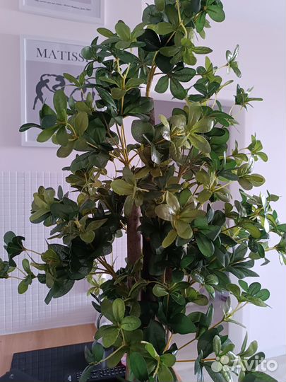 Искусственное денежное дерево