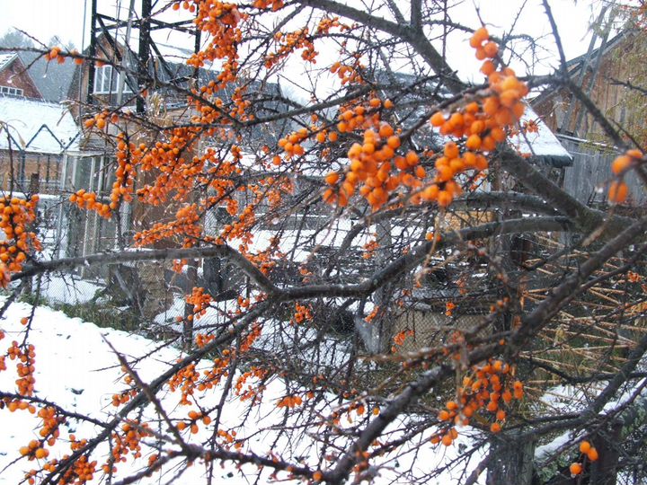 Дача 70 м² на участке 5 сот.