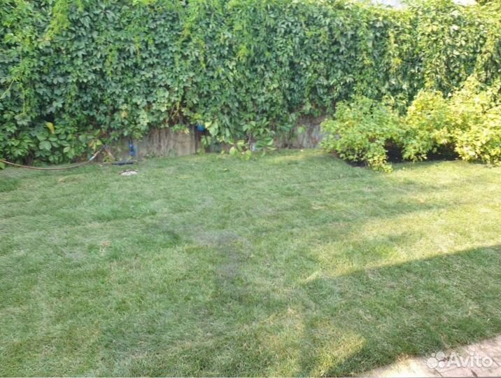 Рулонный газон + Ландшафтное проектирование