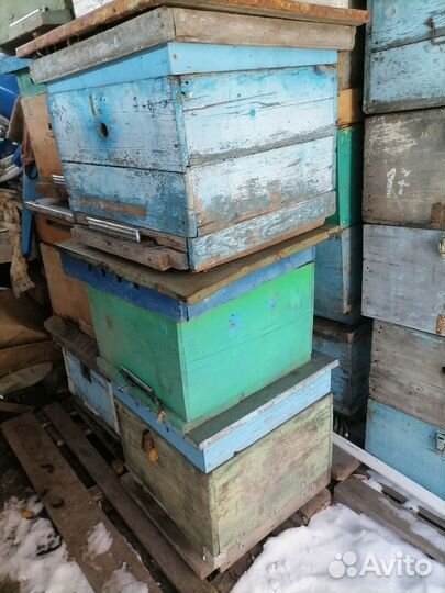 Продам пасику оптом или частями