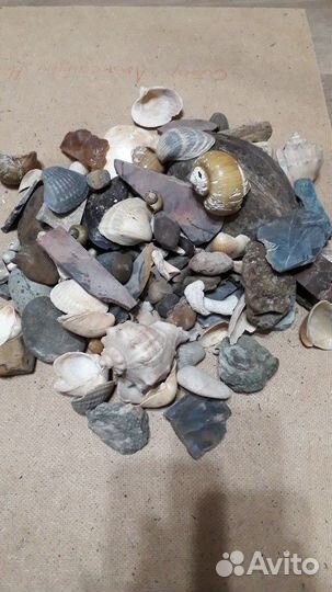 Камни и ракушки для аквариума