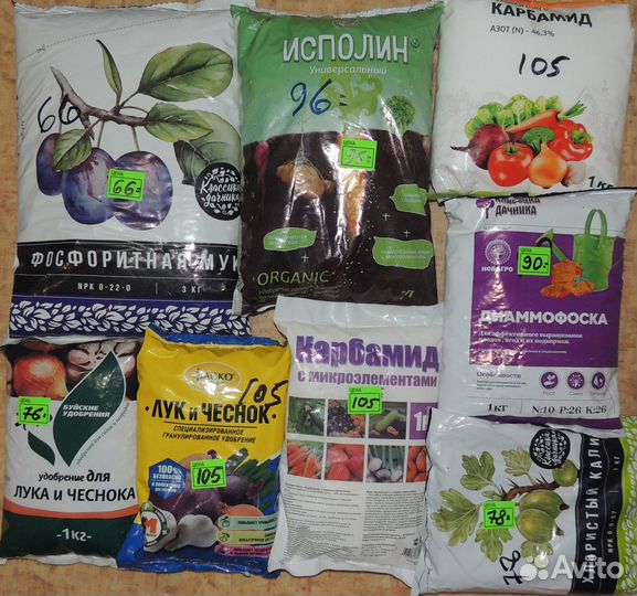 Фертика, ому, Хелаты, Гуми-Оми, Буйск