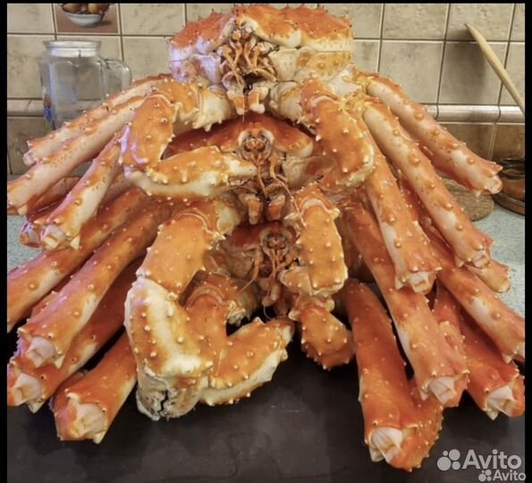 Краб камчатский подарочный целый