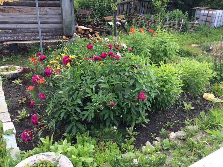 Дом 46 м² на участке 18,5 сот.