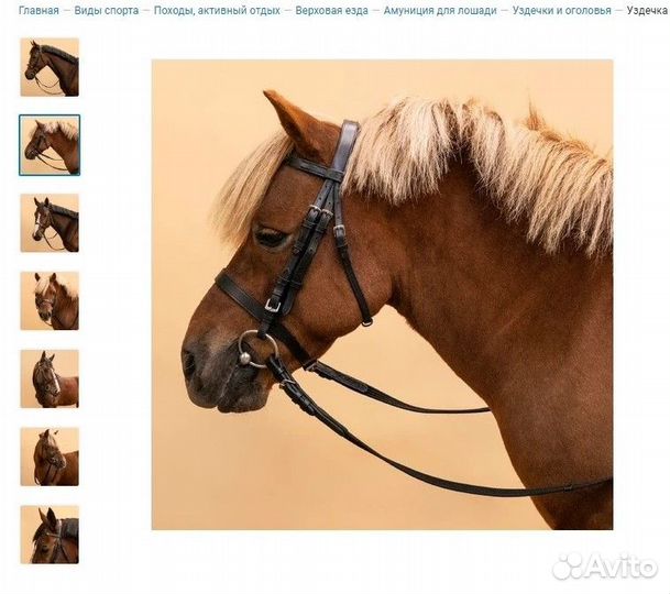 Бриджи, уздечка, меховушка, вальтрап, бинты
