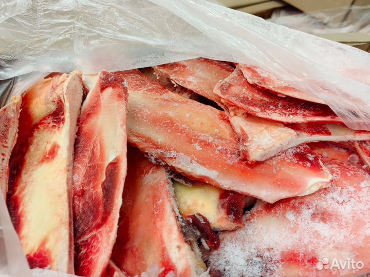 Хрящ лопаточный