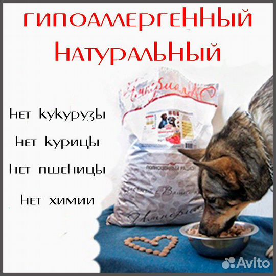 Impenatural премиум гипоаллергенный 10кг. natural